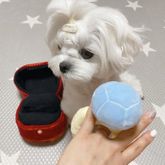 Sparkle Ring Plush Dog Toy