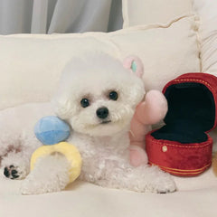 Sparkle Ring Plush Dog Toy