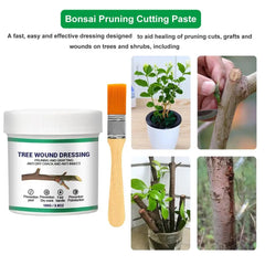 Tree Wound Pruning Sealer – Fast Healing Grafting Paste & Pruning Sealant for Plant Wounds & Grafts