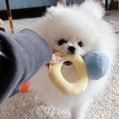 Sparkle Ring Plush Dog Toy